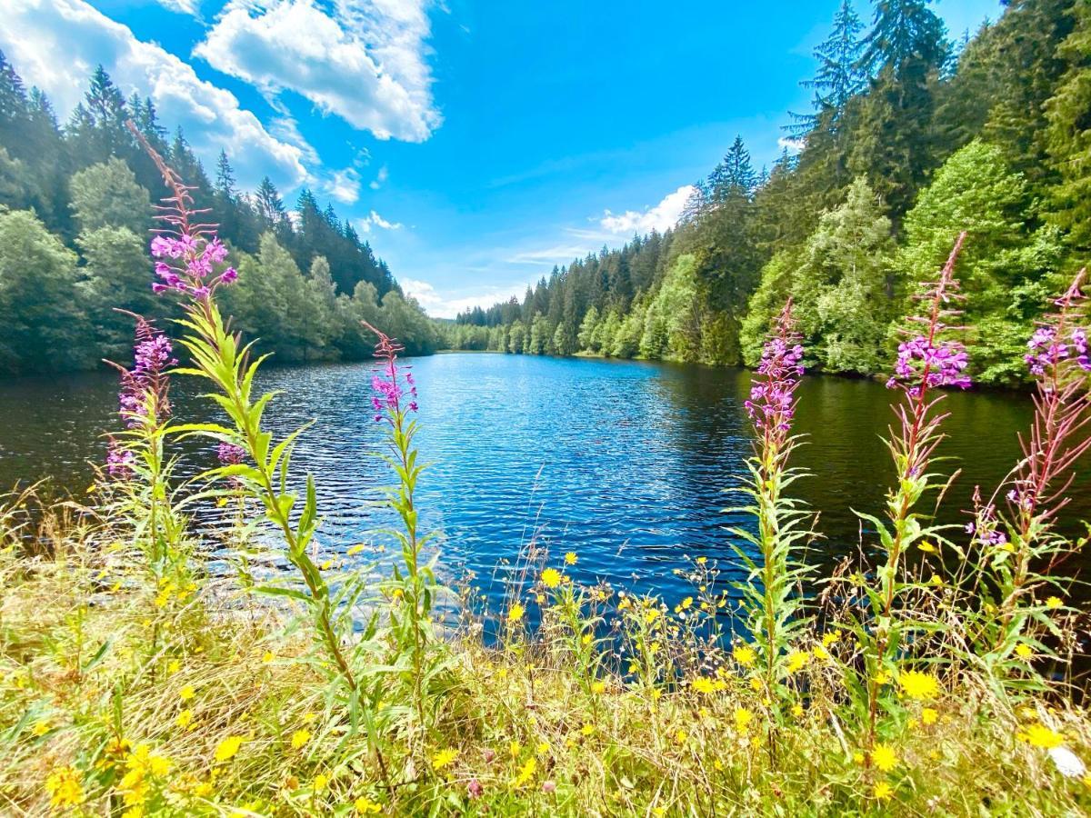 B&B Am Oker, Altenau, Harz Алтенау Екстериор снимка