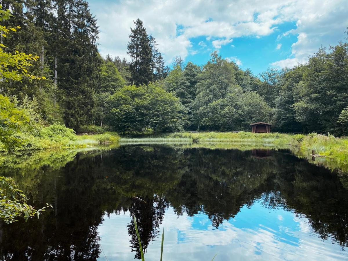 B&B Am Oker, Altenau, Harz Алтенау Екстериор снимка