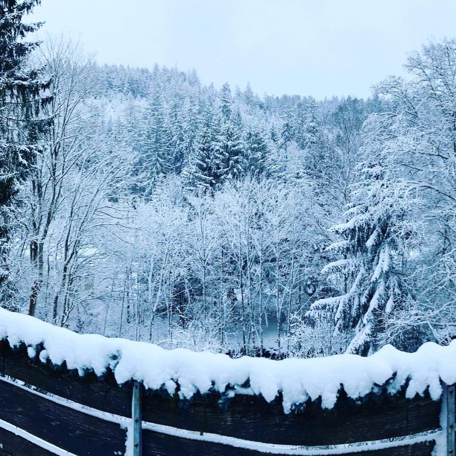 B&B Am Oker, Altenau, Harz Алтенау Екстериор снимка