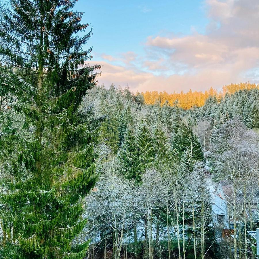 B&B Am Oker, Altenau, Harz Алтенау Екстериор снимка